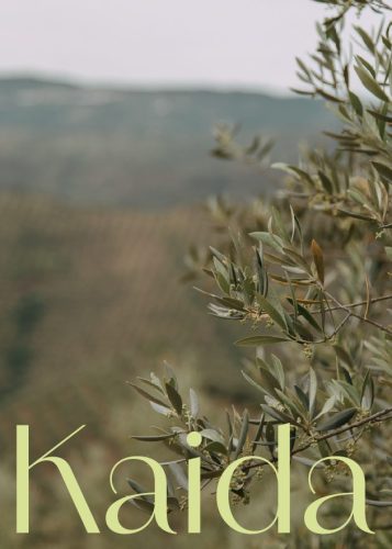 Digital Marketing Agency